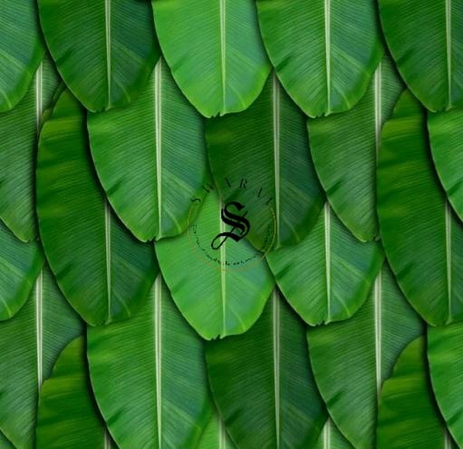 Banana Leaf Backdrop - 8 by 5 Feet. Taiwan Polyester Fabric