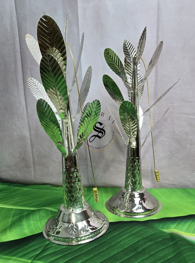 German silver banana plant pair. Set of 2 plants. Size : 15inch each.